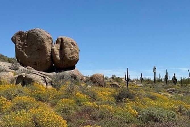 1-2 Hour Sonoran Desert Private Guided Hiking Tour - Wildlife, Cacti, And What To Look For (Without Becoming a Botanist)