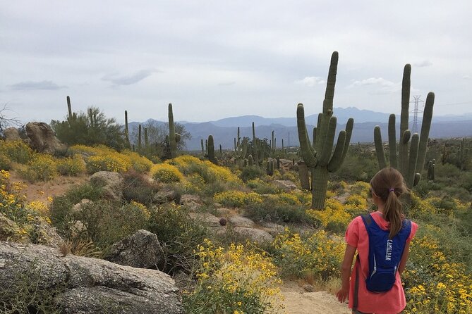 1-2 Hour Sonoran Desert Private Guided Hiking Tour - Meeting At 28777 N Pima Rd: Getting Started Without Headaches