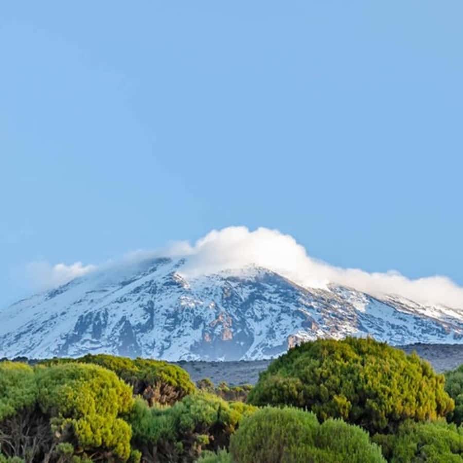 #1. Best Kilimanjaro Day hike Tour-Machame Route-ISMANI - Climbing the Machame Gate trail: rainforest, steep bits, and real pacing