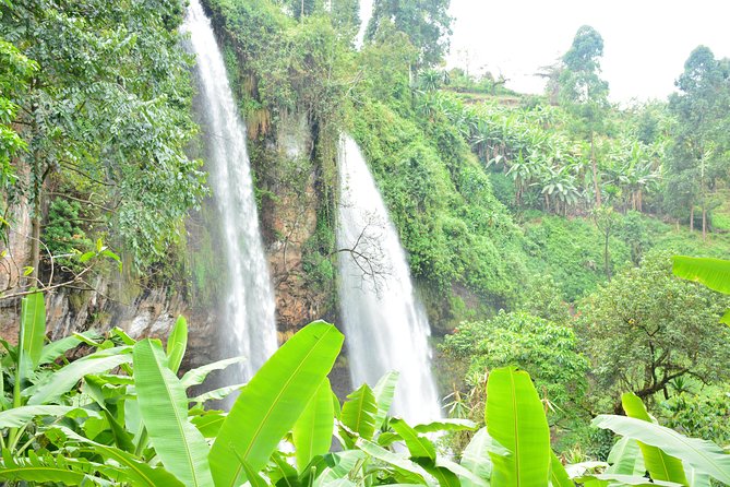 1 Day Sipi falls hike - Abseiling and cave adventures: when you want a bigger story