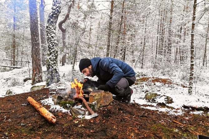 1-Day Small-Group Stockholm Nature Hiking - Why This 5-Hour Stockholm Nature Escape Fits Real Life