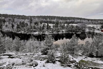 1-Day Small-Group Stockholm Nature Hiking - Meeting at True Nature Sweden and Getting Ready Without Stress