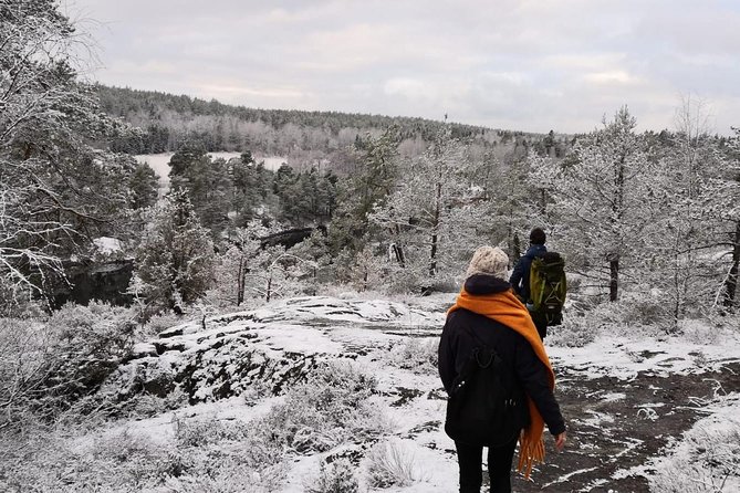 1-Day Small-Group Stockholm Nature Hiking - Price and Logistics: What You’re Really Paying For