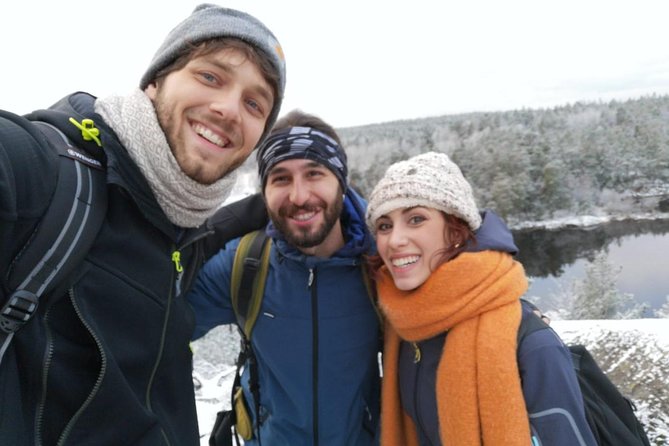 1-Day Small-Group Stockholm Nature Hiking - Who This Tour Suits Best (and Who Should Rethink It)