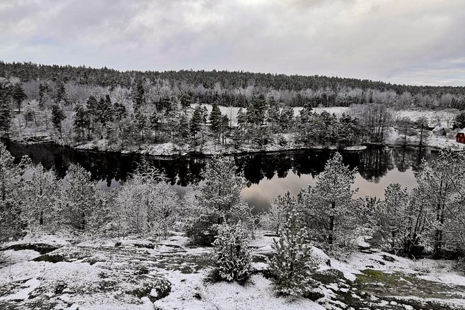 1-Day Small-Group Stockholm Nature Hiking - Meeting at True Nature Sweden and Getting Ready Without Stress