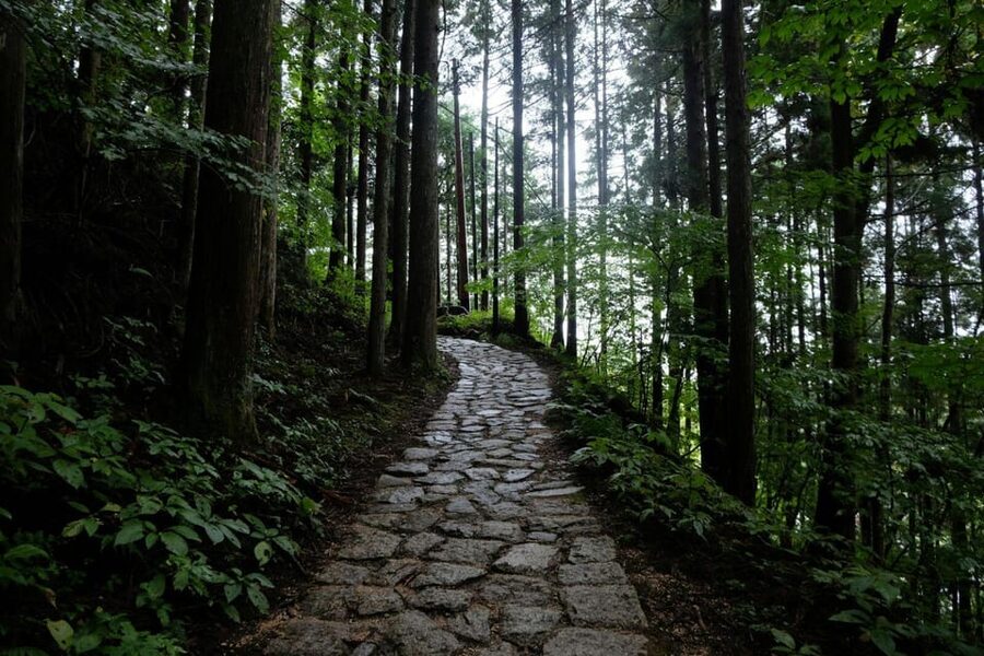 1-Day Tour from Nagoya: Hiking the Historic Nakasendo Trail - Key Highlights Worth Planning For