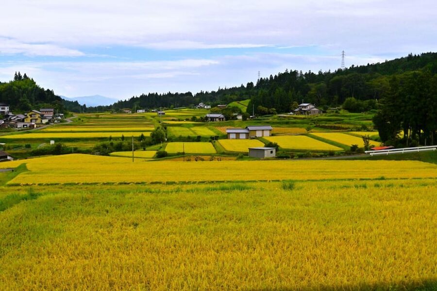 1-Day Tour from Nagoya: Hiking the Historic Nakasendo Trail - Why This One-Day Nakasendo Hike Feels So Worth It