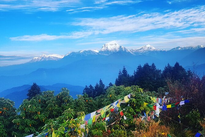 11-Day Hike Tour to Annapurna Base Camp Bliss in Kathmandu - Kathmandu to Pokhara by domestic flight: a smart savings move