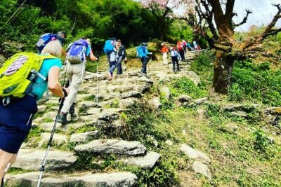 11-Day Hike Tour to Annapurna Base Camp Bliss in Kathmandu - Kathmandu pick-up and the Thamel starting point
