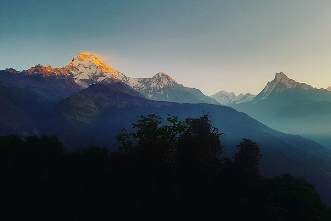 11-Day Hike Tour to Annapurna Base Camp Bliss in Kathmandu - Deurali: rhododendron forests and Modi Khola pacing