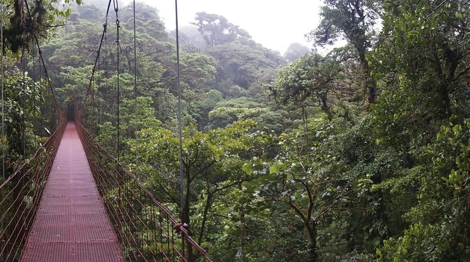 2-Day Extreme Nature Hike from La Fortuna to Monteverde - Key Things You’ll Notice Right Away