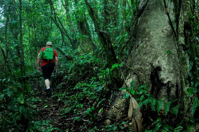 2-Day Extreme Nature Hike from La Fortuna to Monteverde - La Fortuna to Monteverde, But Make It Real Trails