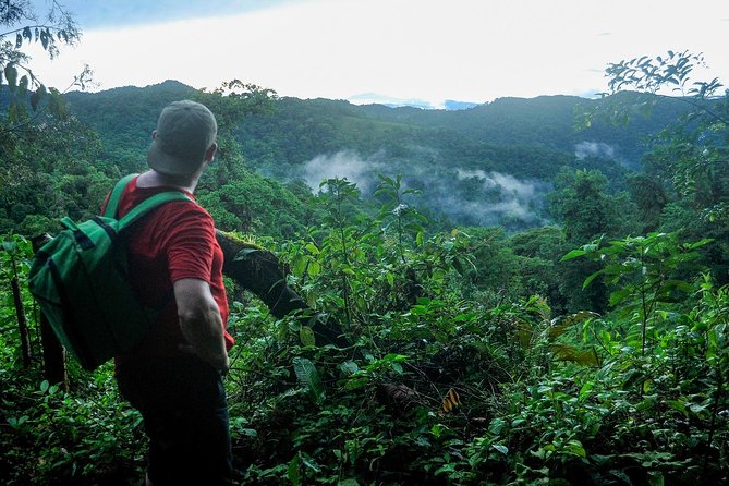 2-Day Extreme Nature Hike from La Fortuna to Monteverde - The Guide Experience: Knowledge, Stories, and Real Practical Help
