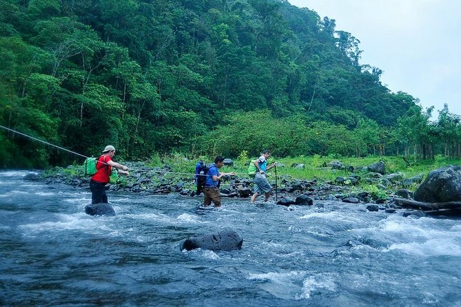 2-Day Extreme Nature Hike from La Fortuna to Monteverde - Day 1: La Fortuna Arenal Volcano Rain Forest Reserve Gets Serious