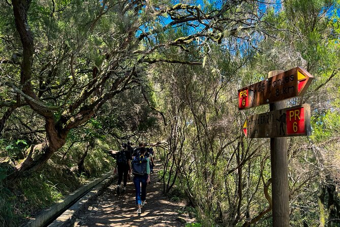 25 Fountains Levada: Hiking Tour in Madeira Rabaçal Valley (PR6) - Key highlights worth planning for