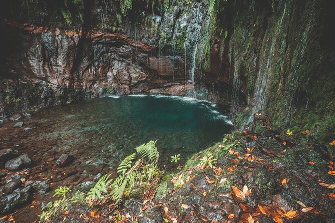 25 Fountains Levada: Hiking Tour in Madeira Rabaçal Valley (PR6) - Transport and timing: how the day actually runs