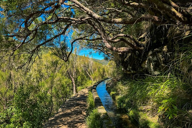 25 Fountains Levada: Hiking Tour in Madeira Rabaçal Valley (PR6) - Practical packing tips for slippery steps and the tunnel