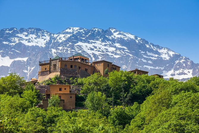 3-Days High Atlas Mountains Hiking Tour from Marrakech - Day three: Tizi Mzik at 2,400m viewpoints, lunch in Mzik, and back to Marrakech by ~6pm