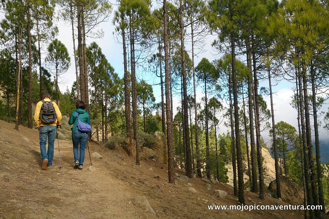 3-Hour Hiking Experience in Roque Nublo - Roque Nublo: the island’s most famous rock you walk around
