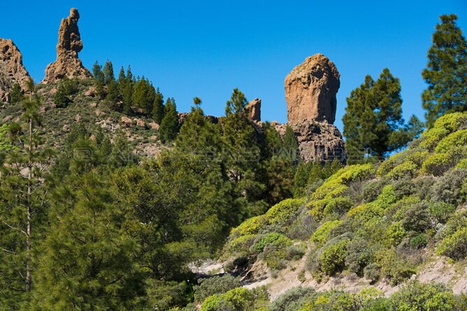 3-Hour Hiking Experience in Roque Nublo - From Mirador Degollada de la Yegua to the Roque: your first stops