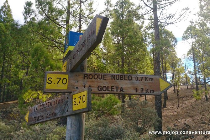 3-Hour Hiking Experience in Roque Nublo - Fataga and San Bartolomé de Tirajana: stories between viewpoints