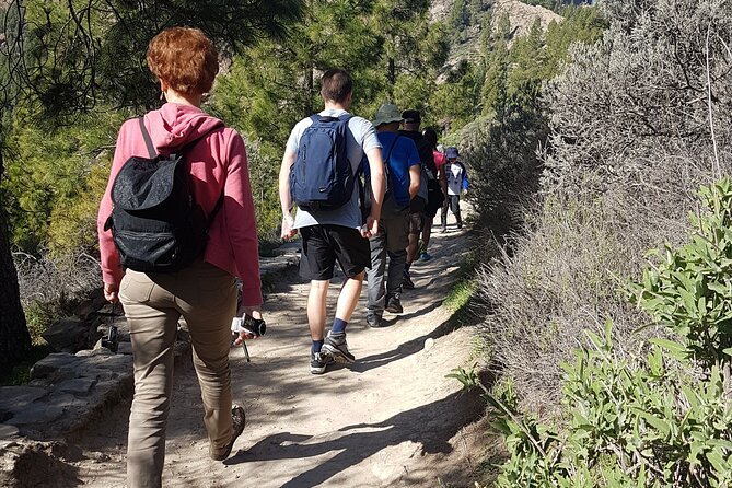 3-Hour Hiking Experience in Roque Nublo - Price and value for $80.32: what you’re really paying for