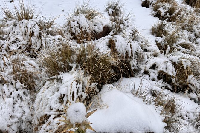 3 Hour Private Hike: Mountain Nevado Toluca from Mexico City - Weather: The Main Variable You Can’t Outschedule