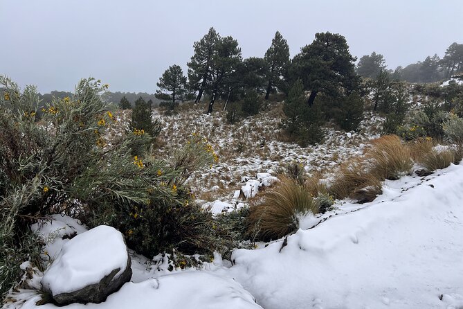 3 Hour Private Hike: Mountain Nevado Toluca from Mexico City - Value for $117.99: What You’re Actually Paying For
