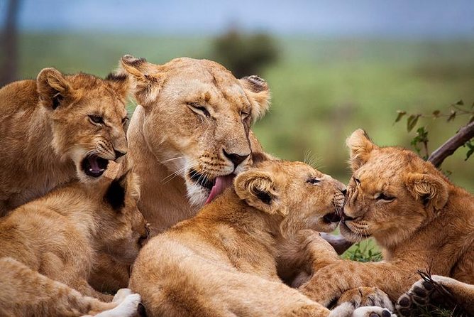 4 days Best experience Kilimanjaro Hike, Serengeti &Ngorongoro - Value and what this package covers (and what you’ll pay separately)