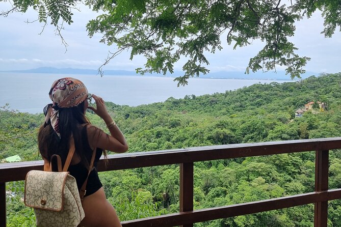 4-Hour Jungle Hike and Waterfall Swim - Choosing the Second Waterfall Route or Going for the Lookout