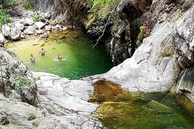 4-Hour Jungle Hike and Waterfall Swim - Guides Make the Difference: Juan Carlos, Juan, Alex, and More