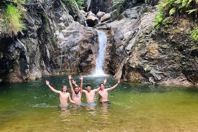4-Hour Jungle Hike and Waterfall Swim - The Jungle Walk to Cascadas Palo Maria: Views + Real Terrain