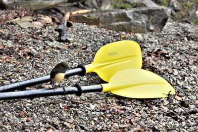 4-hour Lake Mapourika Kayak and Hike adventure, with Okarito Kiwi Sanctuary - Meeting Point and Timing: How to Plan Your Day