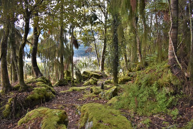 4-hour Lake Mapourika Kayak and Hike adventure, with Okarito Kiwi Sanctuary - Guides Make the Difference: Names You’ll Hear and Why It Matters