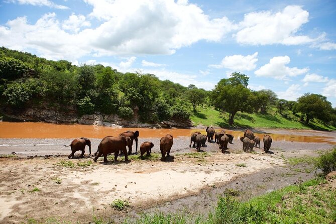 6 Days Serengeti Safari(hiking waterfalls &coffee tour) - A small-group north circuit route from Arusha