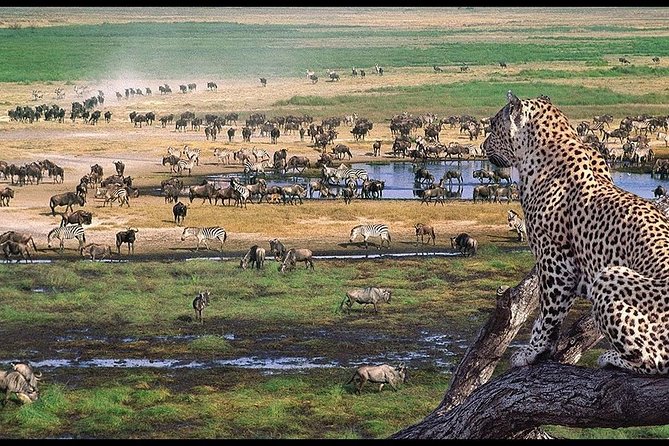 6 Days Serengeti Safari(hiking waterfalls &coffee tour) - Day 6 Materuni Waterfalls hike, Chagga culture, and a coffee tour