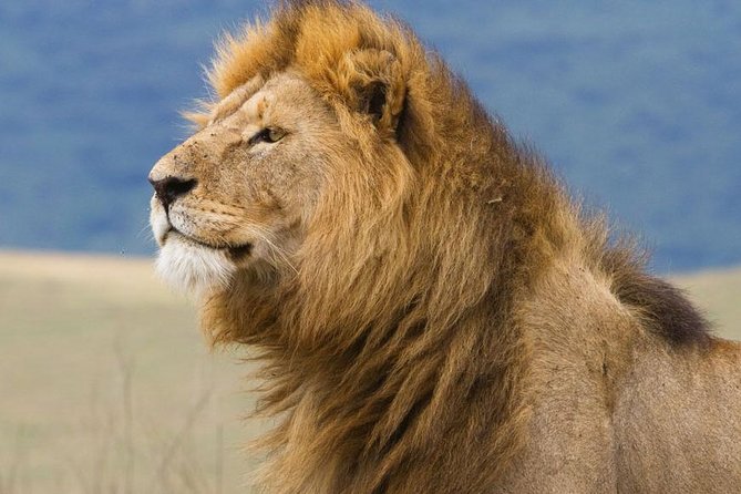 6 Days Serengeti Safari(hiking waterfalls &coffee tour) - Price and logistics: is $1,250 per person good value?