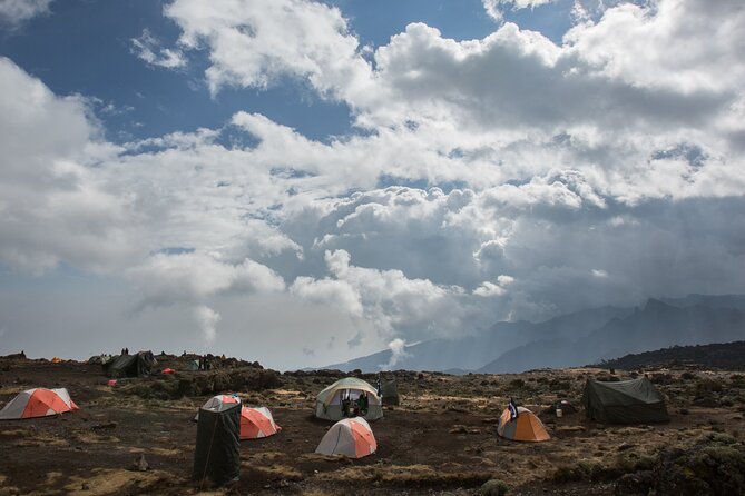 7-Day Machame Kilimanjaro Summit Tour from Arusha - Day 6: Midnight Summit Push From Stella Point to Uhuru Peak