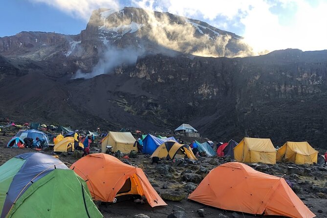 8 Days Kilimanjaro Hike via Lemosho Route - Day 8 Down from Millennium Campsite to Mweka Gate: Certificates and Cold-Drink Relief