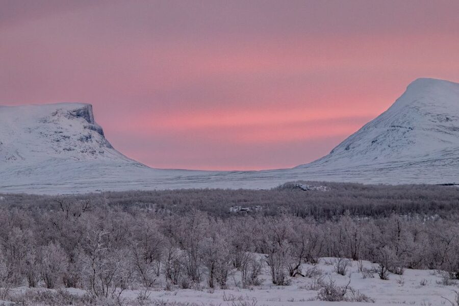 Abisko National Park: Scenic Morning Hike with Transfer - Arctic stories that make the walk more than a photo stop
