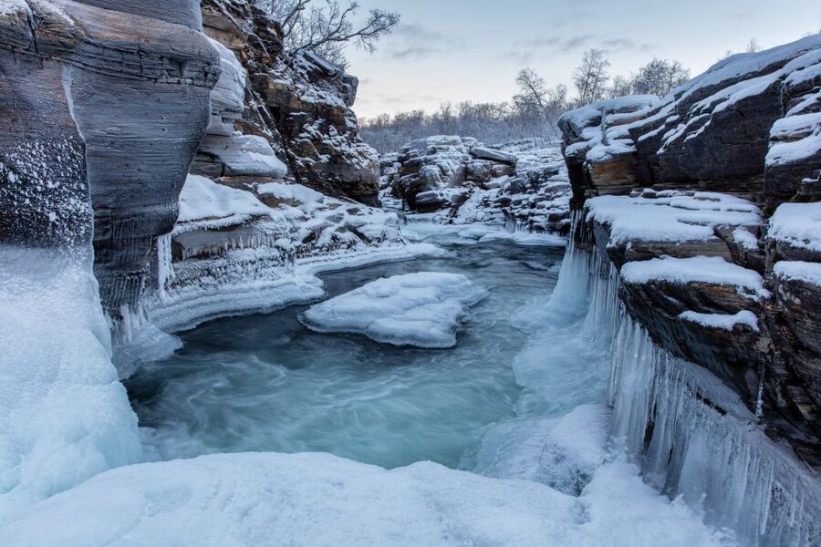Abisko National Park: Scenic Morning Hike with Transfer - What to pack: the cold is the real boss fight