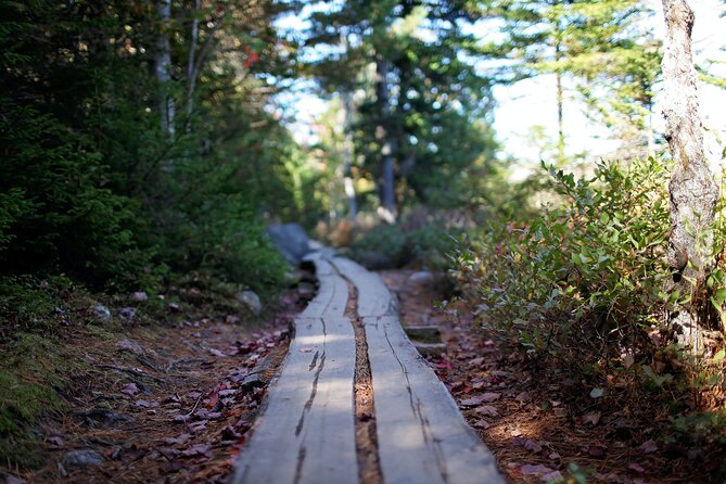 Acadia Full Day Private Tour & Hike - A private Acadia day in practice: what it really feels like