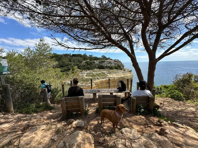 Algarve: 7 Seven Hanging Valley Hike Tour- Photos & Transfer - Stop-by-stop: from Alfanzina angles to Praia da Marinha