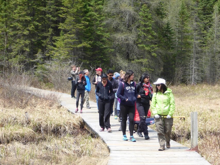 Algonquin Park Hiking: Adventure Tour from Toronto - Price and value: what $151 covers (and what it doesn’t)