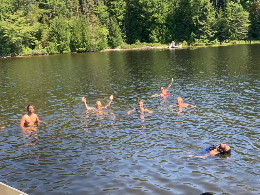 Algonquin Park Hiking: Adventure Tour from Toronto - Wildlife watching: moose are possible, not guaranteed