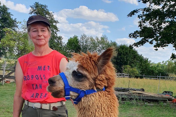 Alpaca hike in the Barnimer Feldmark - Alpaca-paced walking in the Barnimer Feldmark: what you’re really signing up for