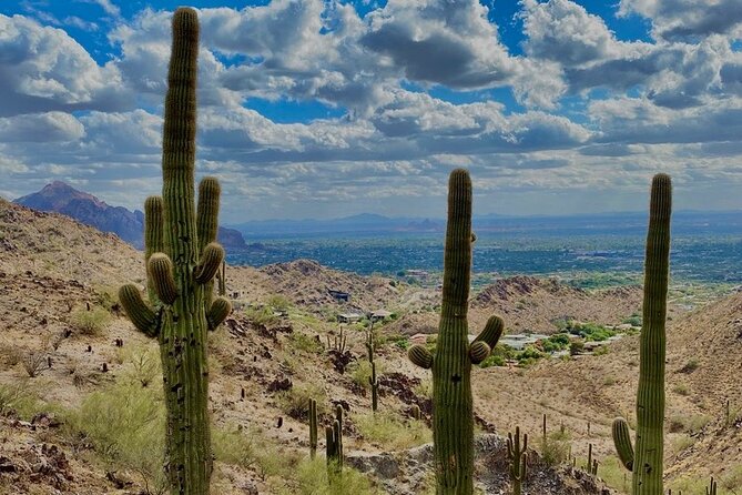 Amazing 2-Hour Guided Hiking Adventure in Phoenix, Arizona - Price and value: is $125 for two hours fair?