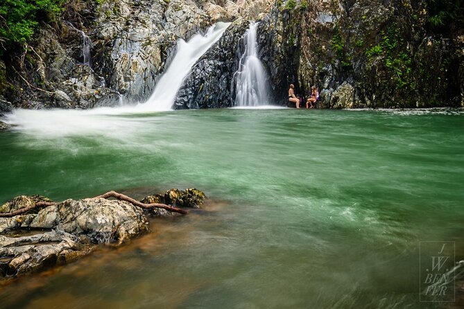 Amazing Daintree Rainforest Tour Waterfall Hike, Lunch, Swim & Crocodile Cruise - Key highlights to know before you go