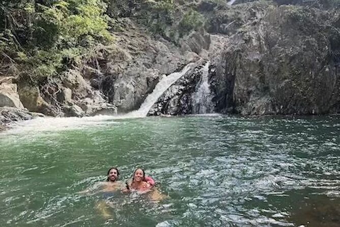 Amazing Daintree Rainforest Tour Waterfall Hike, Lunch, Swim & Crocodile Cruise - The Daintree River crocodile cruise: solar power and close-up wildlife time