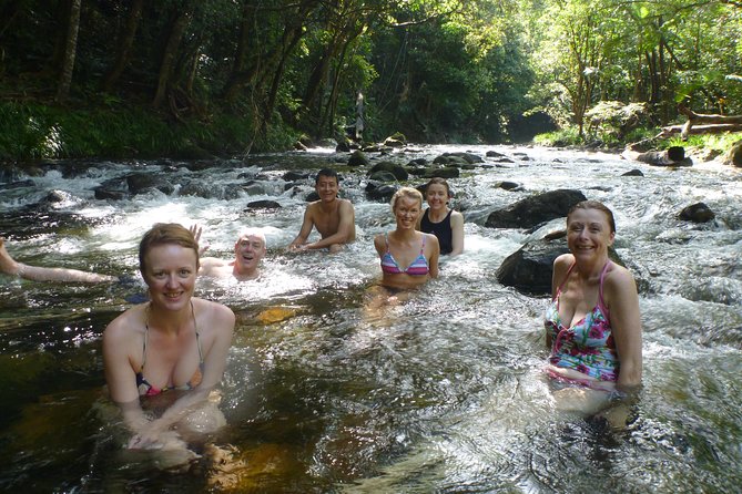 Amazing Daintree Rainforest Tour Waterfall Hike, Lunch, Swim & Crocodile Cruise - Pickup, meeting points, and who can join